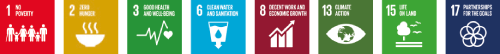 UN SDGs